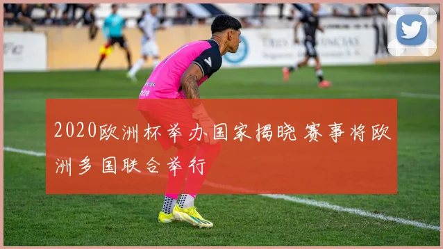 2020欧洲杯举办国家揭晓 赛事将欧洲多国联合举行