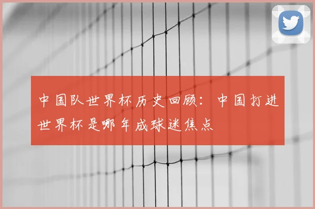 中国队世界杯历史回顾：中国打进世界杯是哪年成球迷焦点